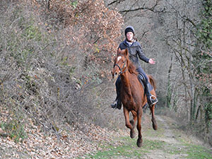 Freddy Gallop Out